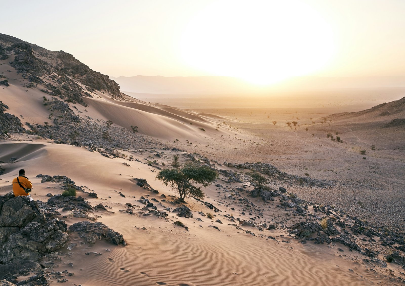 Zagora Draa Valley Journey