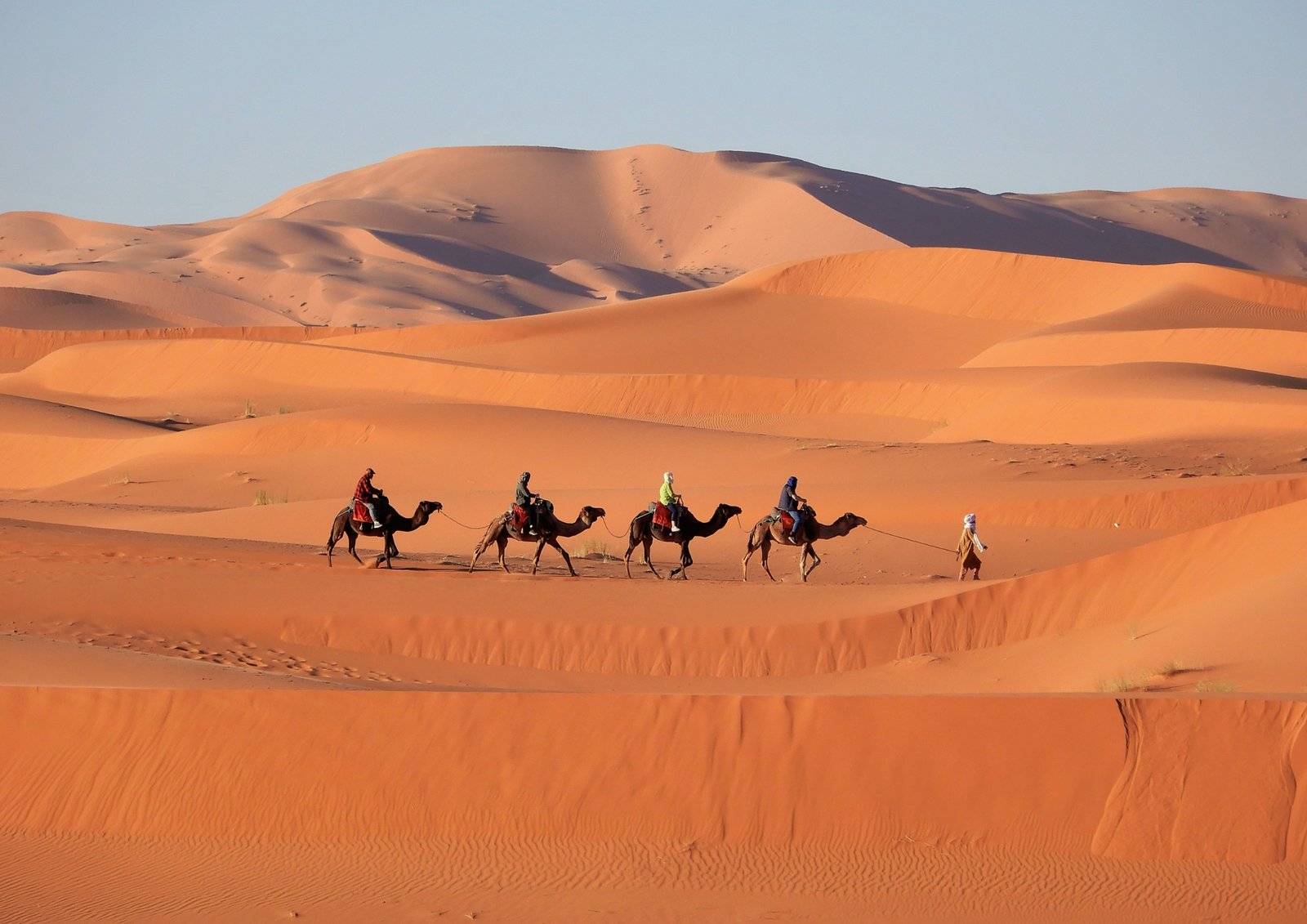 Merzouga Desert Camel Trek