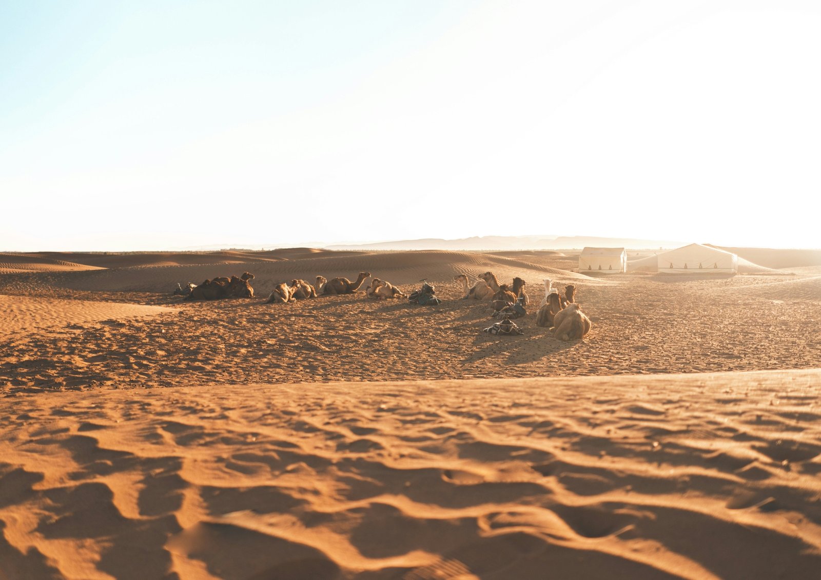 Draa Valley