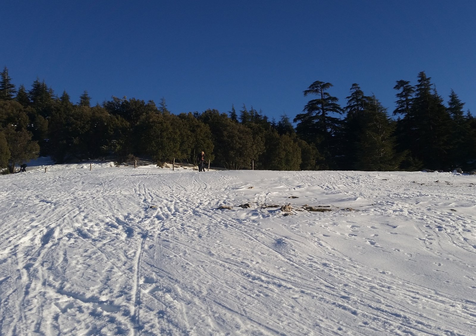 Grand Morocco Imperial & Desert Tour