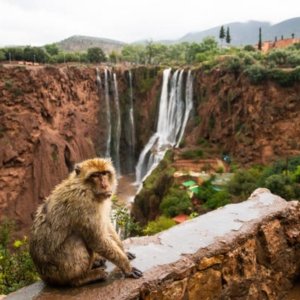 Ouzoud Waterfalls