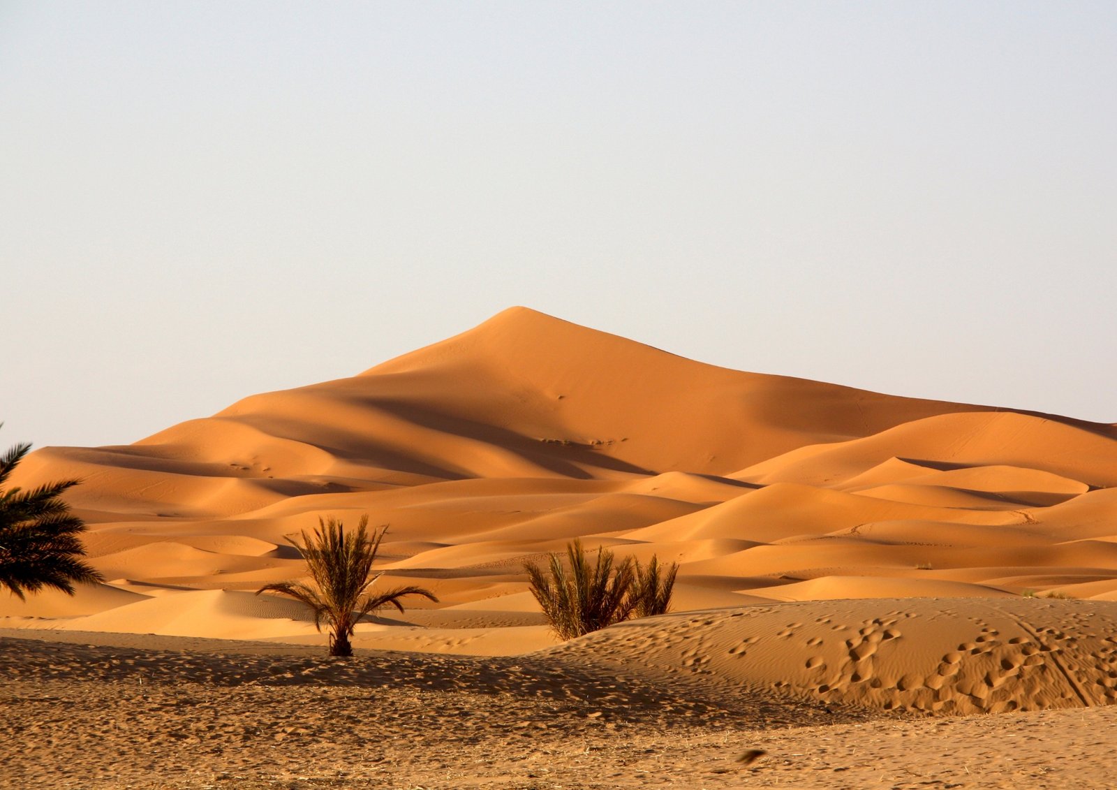 Sahara Desert Tour 4 Days